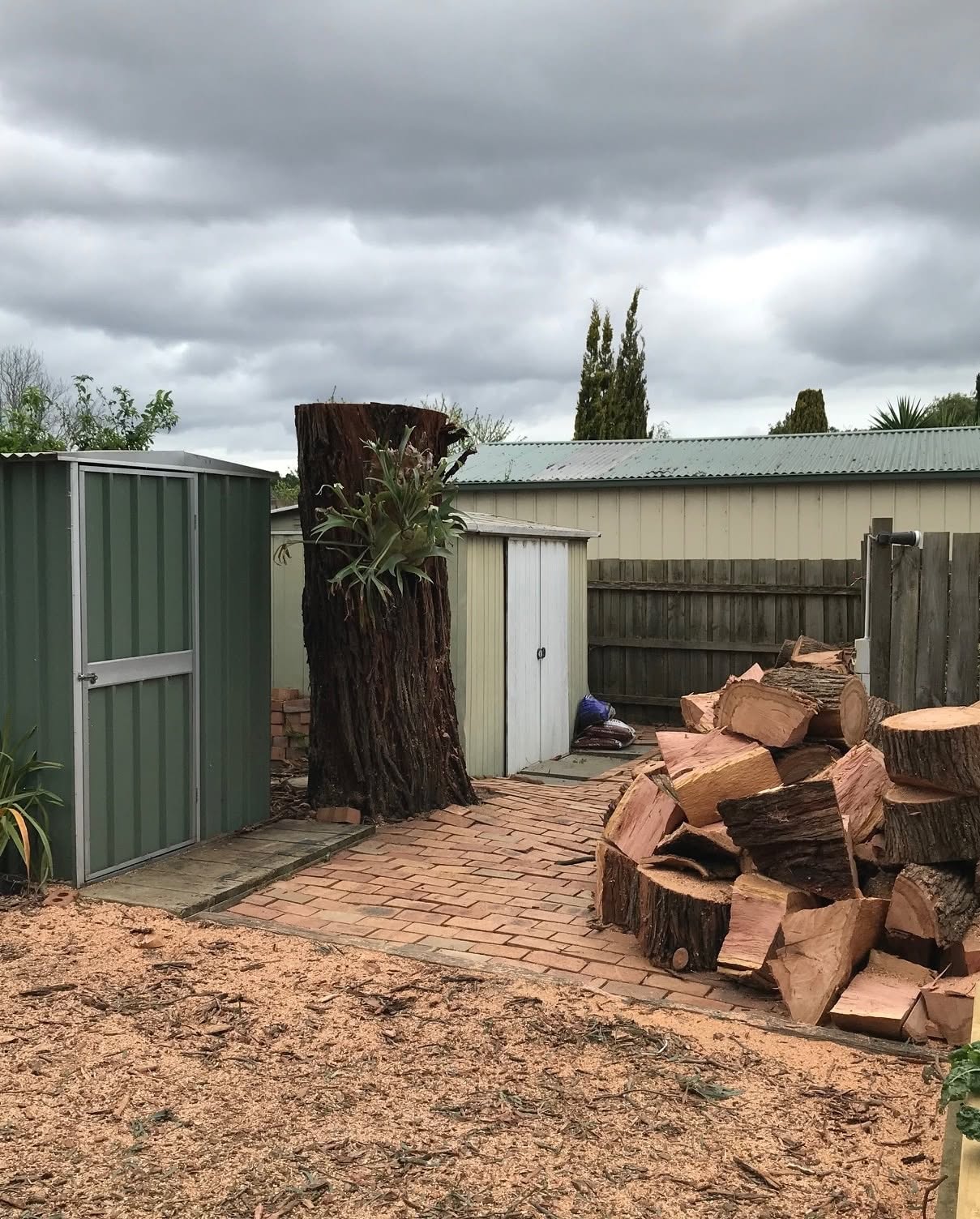 Stacked firewood after backyard tree removal