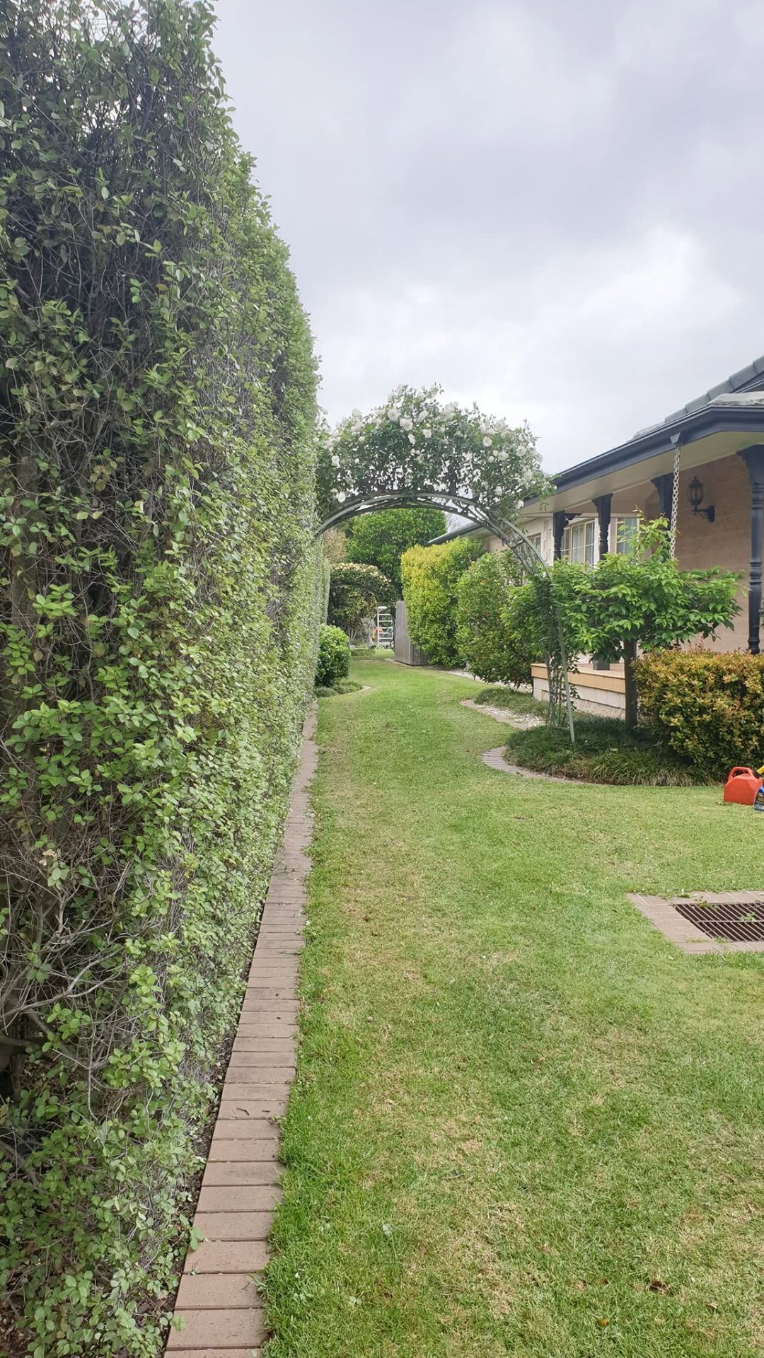 Neat, freshly trimmed hedge in Melbourne